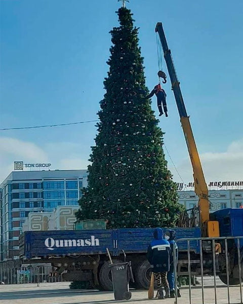 "O‘rgimchak odam-2022"