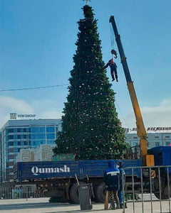 "O‘rgimchak odam-2022"