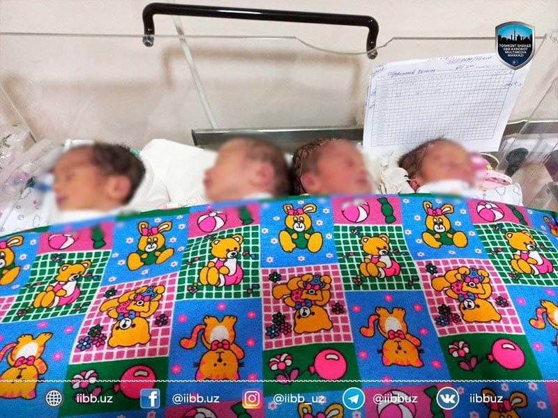 Тошкентда ИИБ ходими 4 эгизак фарзанд кўрди