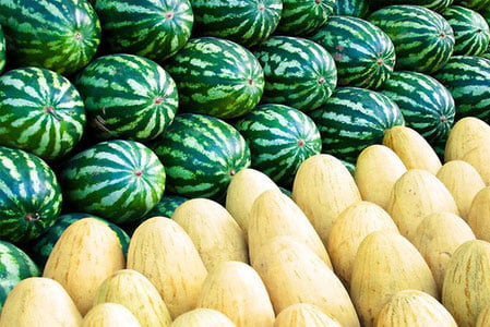 O‘zbekistonda qovun narxi keskin arzonladi