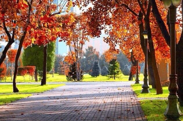 "Ўзгидромет" 4 ноябрь учун об-ҳаво прогнозини эълон қилди