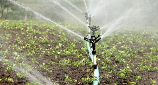 Ўзбекистонда “Suv hisobi” ахборот тизими яратилади