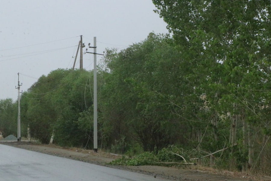 Эрта тонгда Хоразмда кучли шамол ва чанг бўрони кузатилди — видео