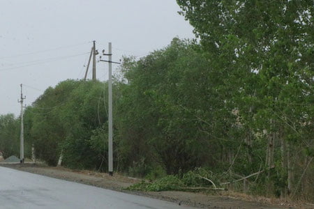 Эрта тонгда Хоразмда кучли шамол ва чанг бўрони кузатилди — видео