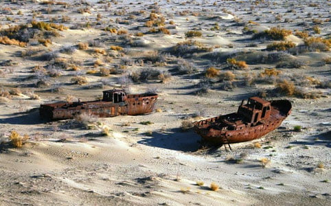 Оролбўйи траст фондига Япония ҳукумати ресурслари жалб қилинади