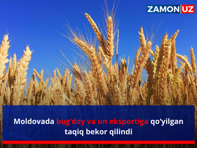 Молдoвада буғдой ва ун экспортига қўйилган тақиқ бекор қилинди