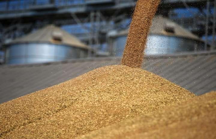 Sirdaryoda g‘alla o‘g‘rilari qo‘lga olindi