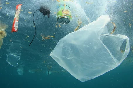 Океанлар жиддий ифлосланишга дуч келди—БМТ