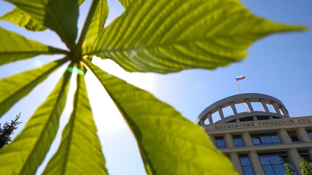 Germaniyada marixuana qonuniylashtirilishi mumkin