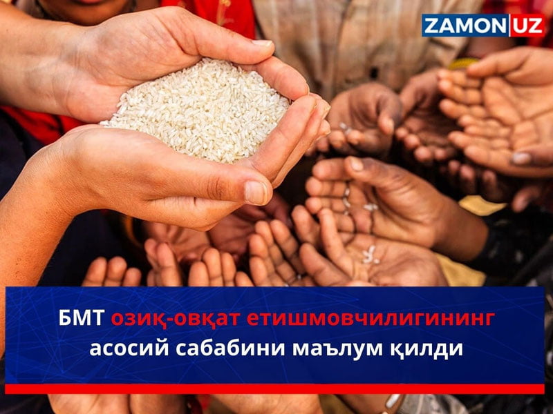 БМТ озиқ-овқат етишмовчилигининг асосий сабабини маълум қилди