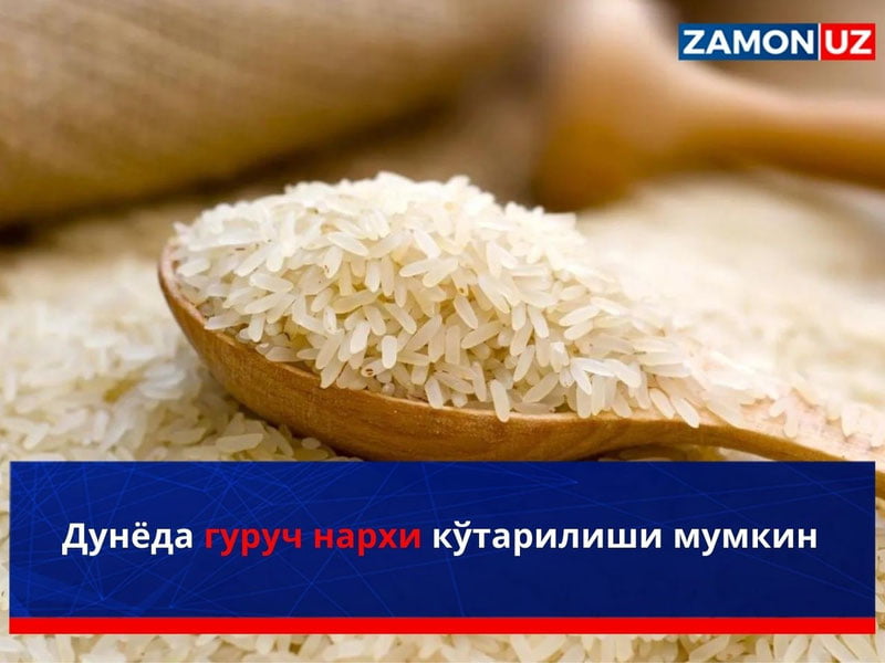 Дунёда гуруч нархи кўтарилиши мумкин