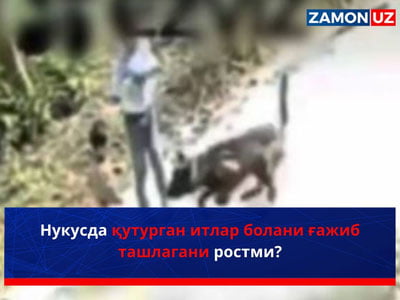 Нукусда қутурган итлар болани ғажиб ташлагани ростми?