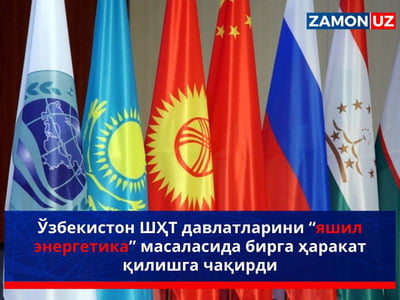 Ўзбекистон ШҲТ давлатларини “яшил энергетика” масаласида бирга ҳаракат қилишга чақирди