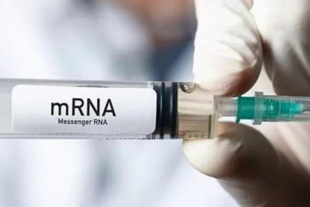 Olimlar grippga qarshi universal vaksina yaratdilar