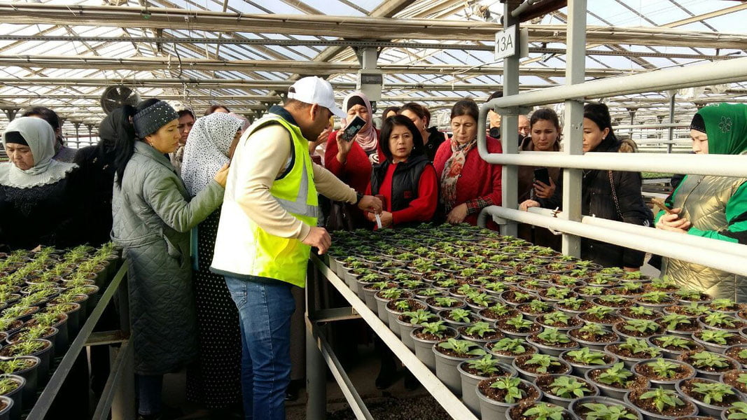 “Agrar soha ayollari” uyushmasi Yuqori Chirchiqda seminar-trening o‘tkazdi