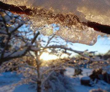 Аномал совуқ Ўзбекистонни тарк этмоқда