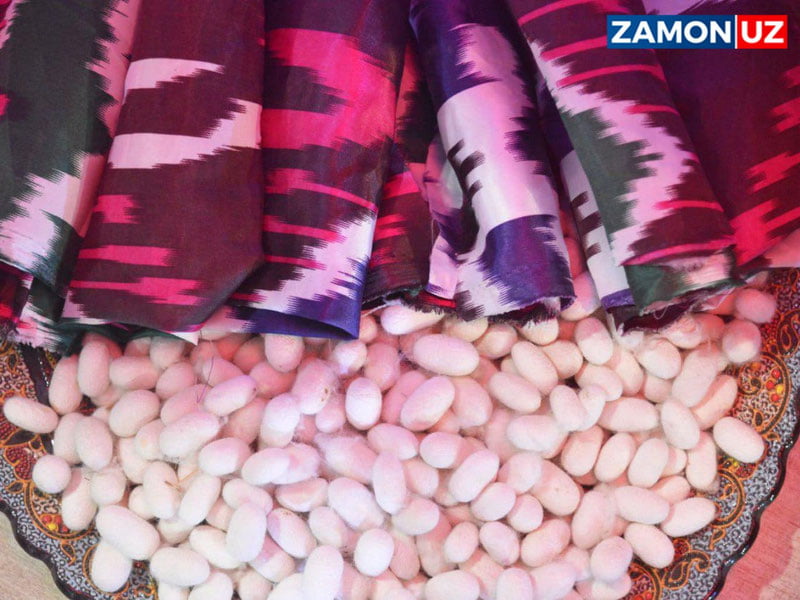 Пилла қурти уруғи ишлаб чиқарувчиларига субсидия берилади