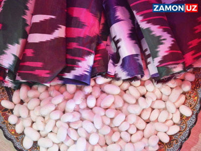 Пилла қурти уруғи ишлаб чиқарувчиларига субсидия берилади