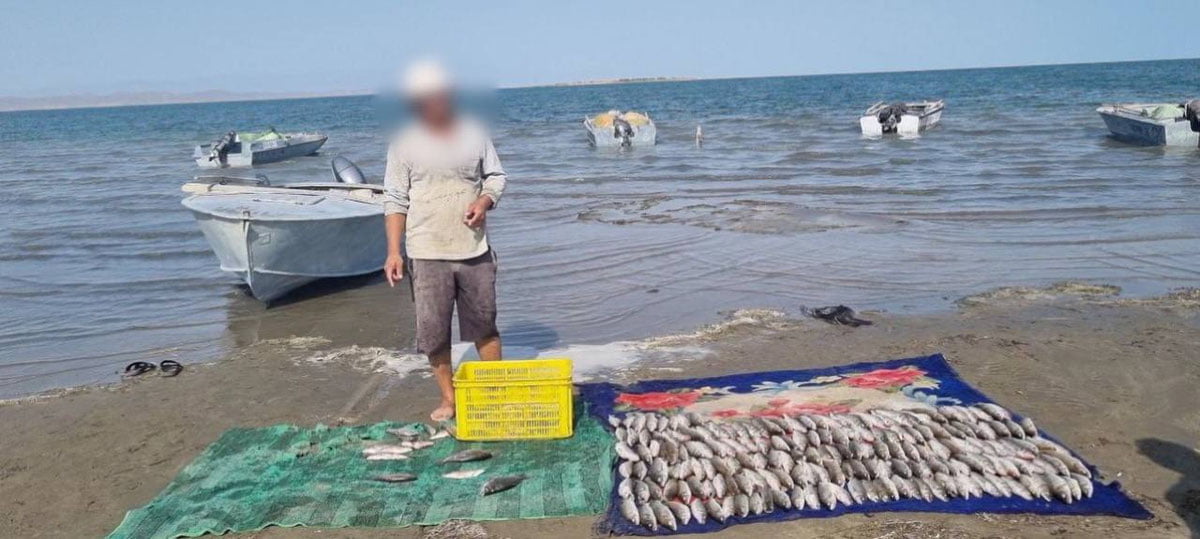 Жиззахда 175 дона «судак» ноқонуний овланди