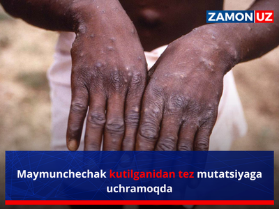 Maymunchechak kutilganidan tez mutatsiyaga uchramoqda