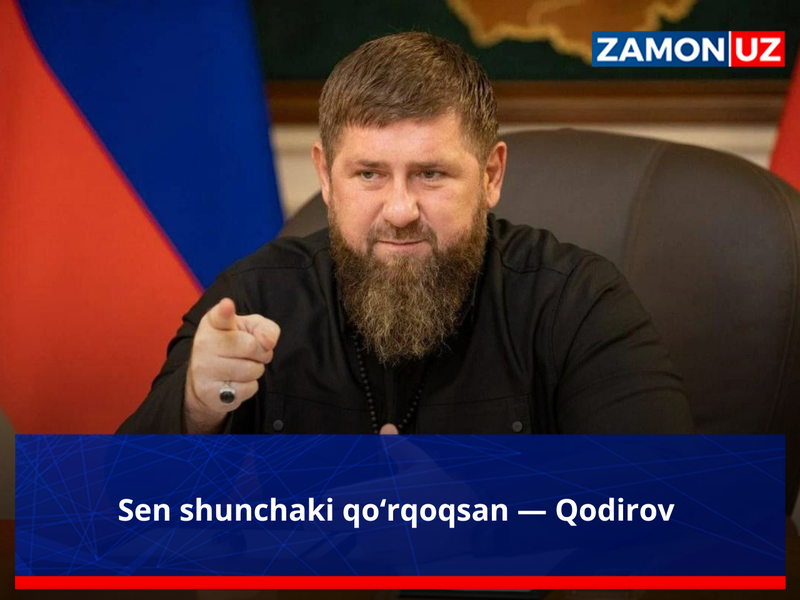 Сен шунчаки қўрқоқсан — Қодиров