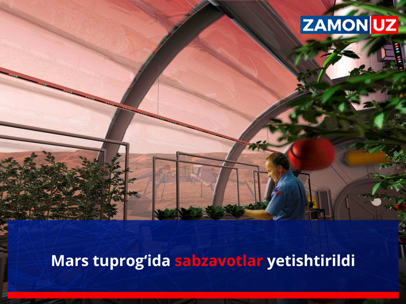 Марс тупроғида сабзавотлар етиштирилди
