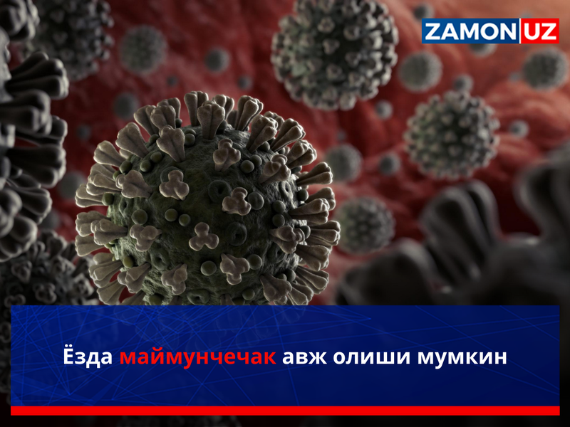 Yozda maymunchechak avj olishi mumkin