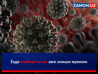 Yozda maymunchechak avj olishi mumkin