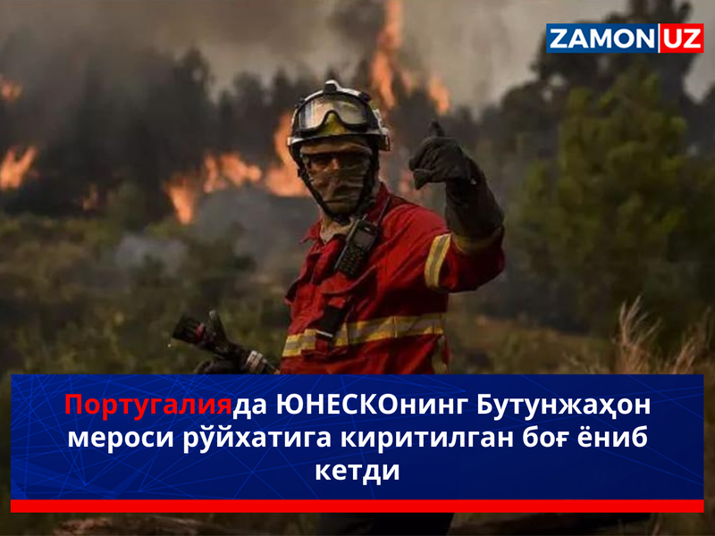 Португалияда ЮНEСКОнинг Бутунжаҳон мероси рўйхатига киритилган боғ ёниб кетди