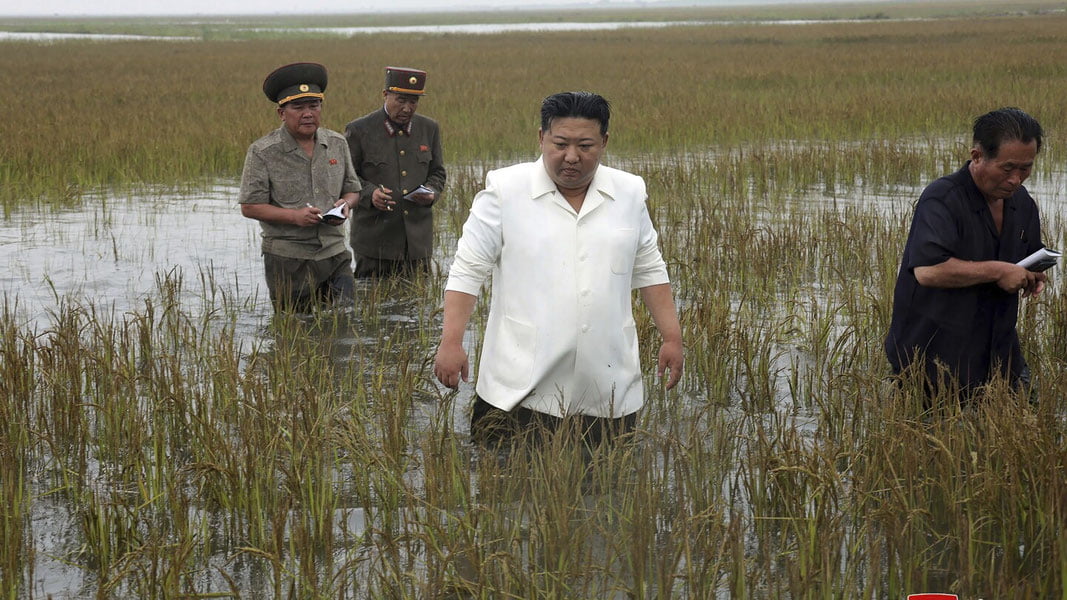 Ким Чен Ин шолипояда амалдорларига дакки берди