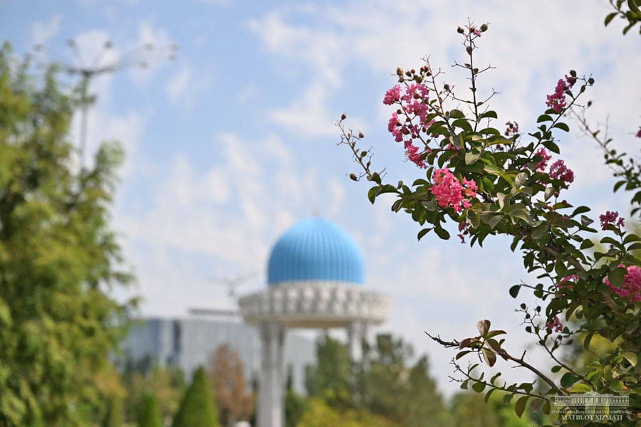 “O‘zgidromet” 1-sentyabr uchun ob-havo prognozini e’lon qildi