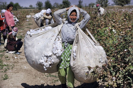 "Пахта терими даврида меҳнат ҳуқуқлари бузилишига оид салкам 200 та мурожаат келиб тушган"