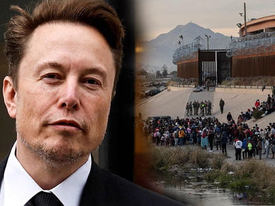 Илон Маск мигрантга айланди