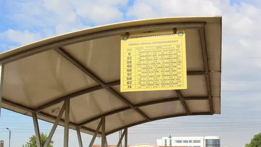 Тошкентда бепул автобус ҳаракати йўлга қўйилди