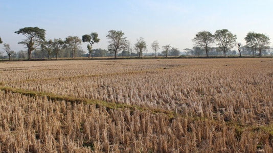 Bali orolida favqulodda holat eʼlon qilindi