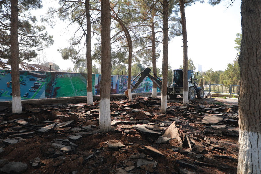 Сурхондарёда дарахтлар бетон қопламалардан тозаланди