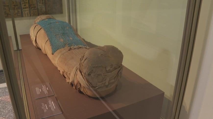 Колумбияда “ўзга сайёралик” мумияси топилди