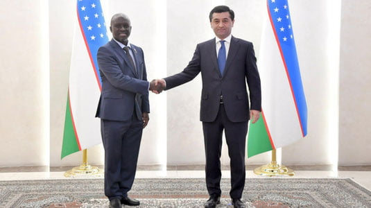 Гананинг Ўзбекистондаги элчихонасига янги раҳбар тайинланди