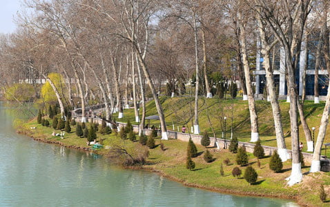 Bugun O‘zbekistonda 23 darajagacha iliq bo‘ladi