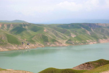 Bugun O‘zbekistonda 17 darajagacha iliq bo‘ladi