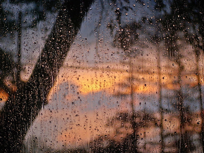 16 апрель учун об-ҳаво прогнози эълон қилинди