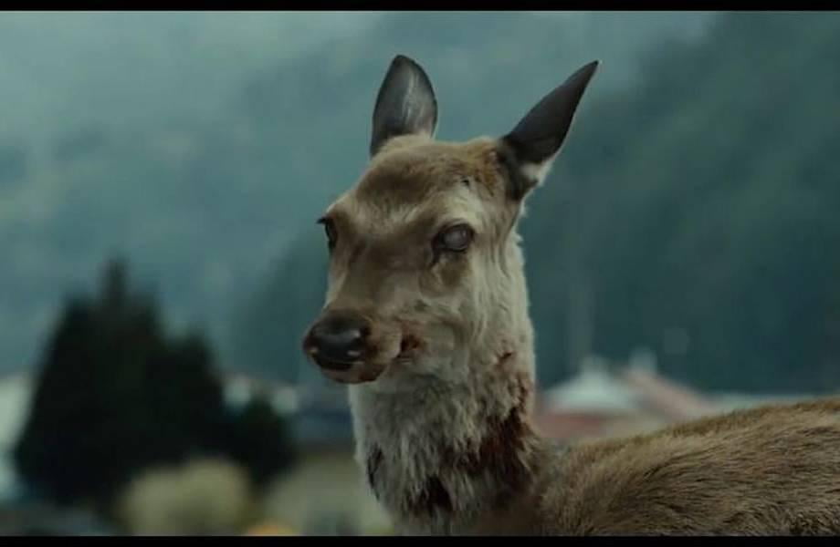 Зомби вируси кийиклардан одамга юққани айтилмоқда