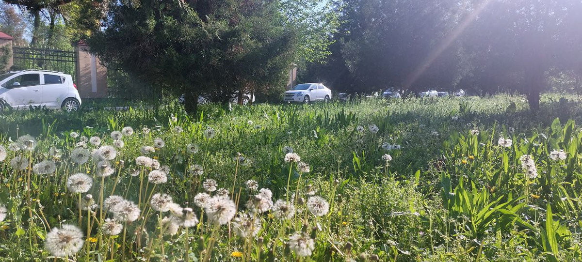 Бугун қандай об-ҳаво кузатилади?