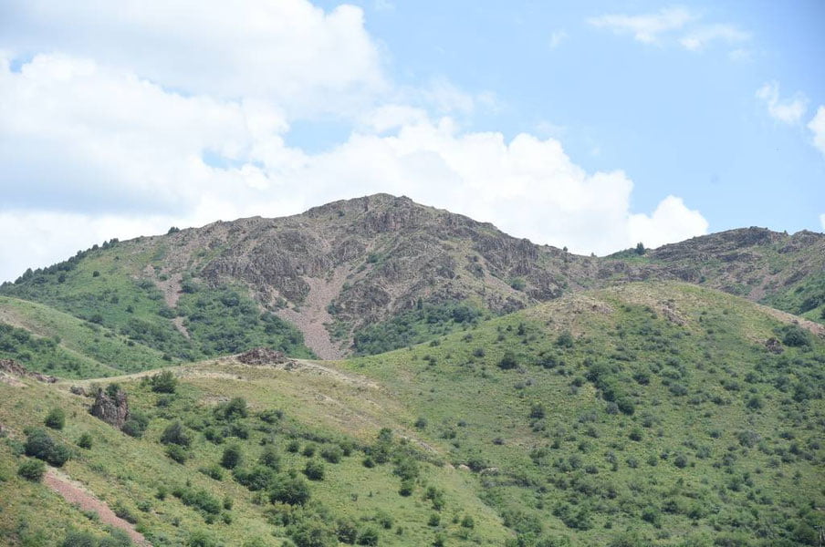 8 август учун об-ҳаво прогнози эълон қилинди