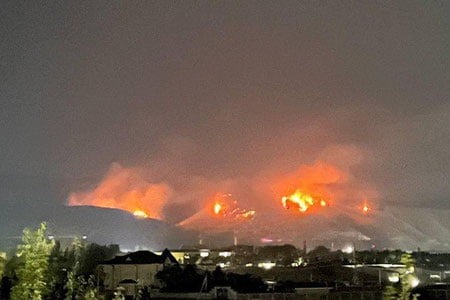 Bo‘stonliqdagi o‘rmon xo‘jaligida yong‘in yuz berdi