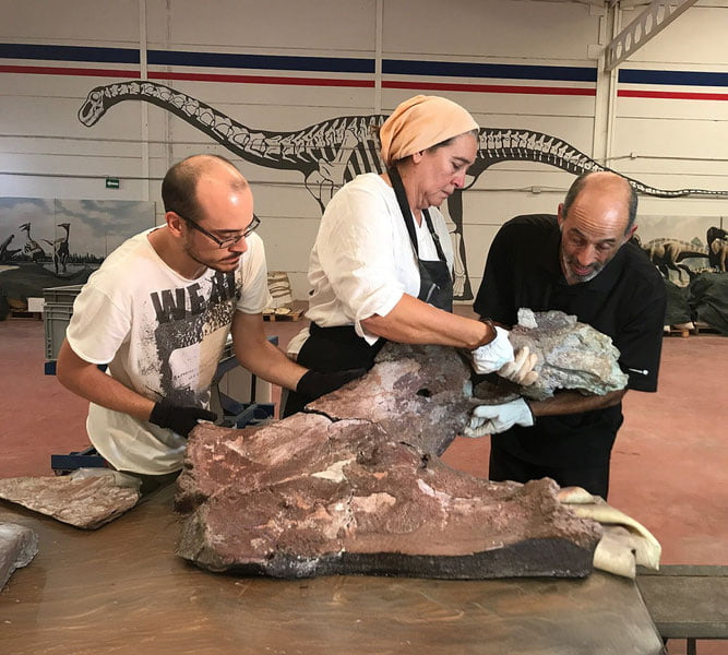 Испаниядан янги турдаги динозавр суяклари топилди