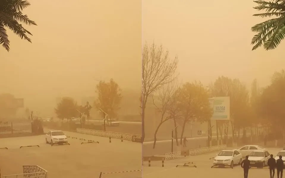 Чанг бўронларига қарши курашиш бўйича миллий дастур тасдиқланди