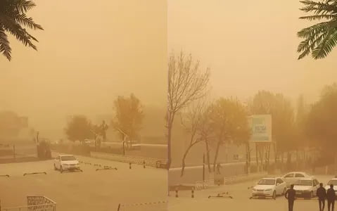 Чанг бўронларига қарши курашиш бўйича миллий дастур тасдиқланди