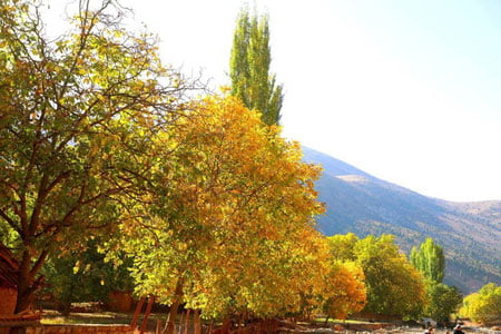 7 октябрь учун об-ҳаво прогнози эълон қилинди