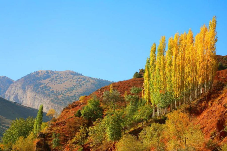 10 октябрь учун об-ҳаво прогнози эълон қилинди